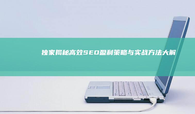 独家揭秘：高效SEO盈利策略与实战方法大解析